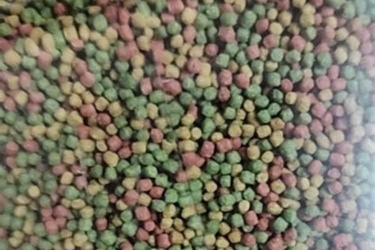 天堂鸟换盆后要浇水吗