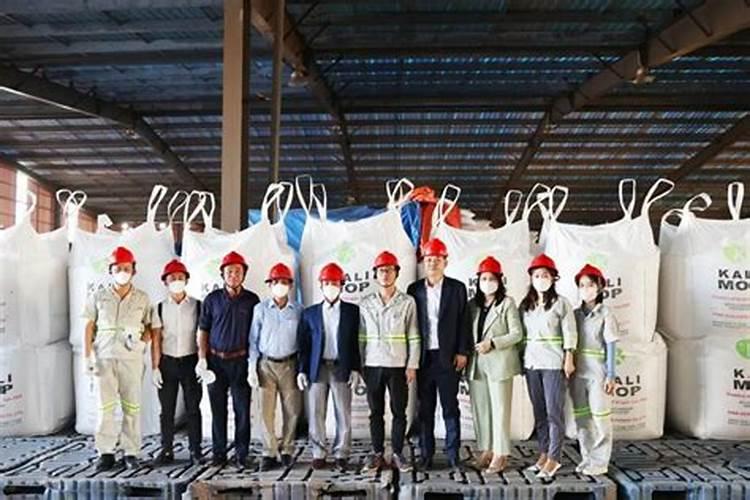 叶面肥能代替追肥吗