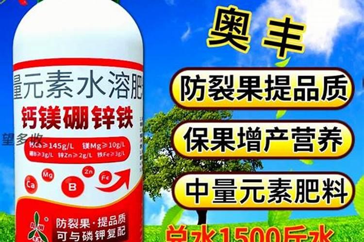 夏天西红柿要不要天天浇水