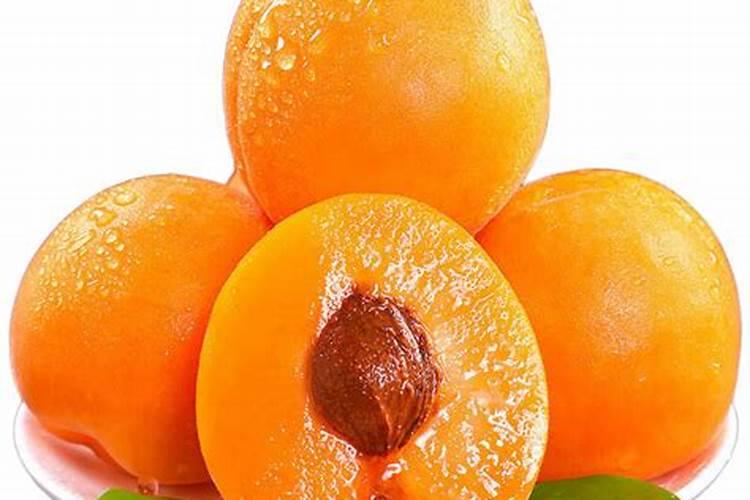 氨基酸叶面肥果树涂杆枝术