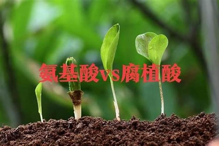 硫代硫酸钠和有机酸的区别？