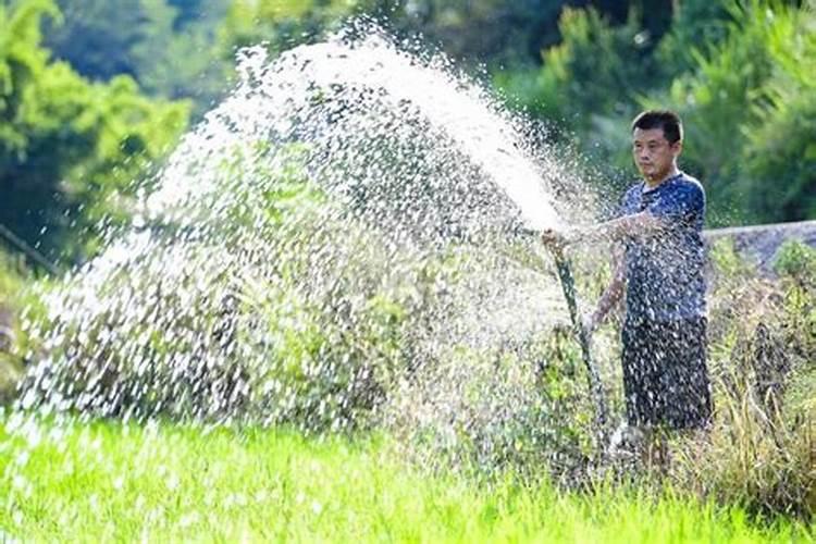 旱地小麦施肥时氮磷钾肥应如何配合施用？