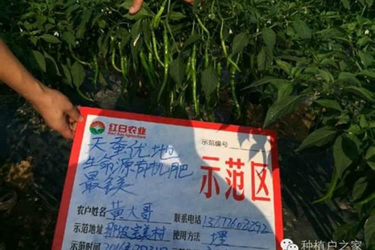 夏季如何给树木施肥和浇水