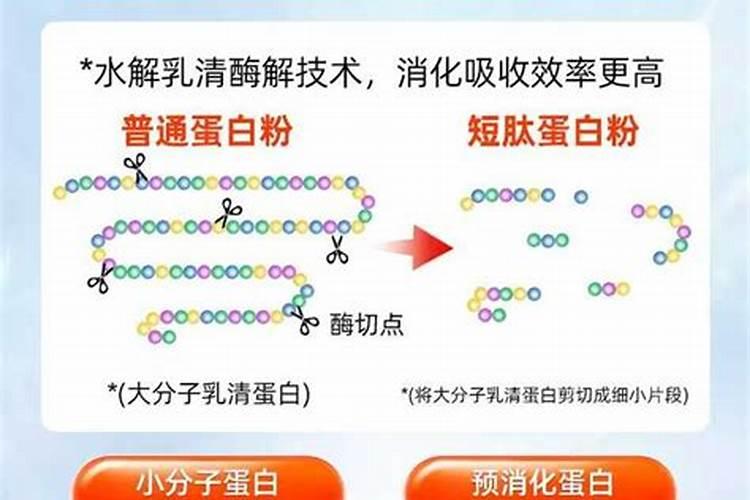 兰花定根水怎么浇 兰花定根水如何浇