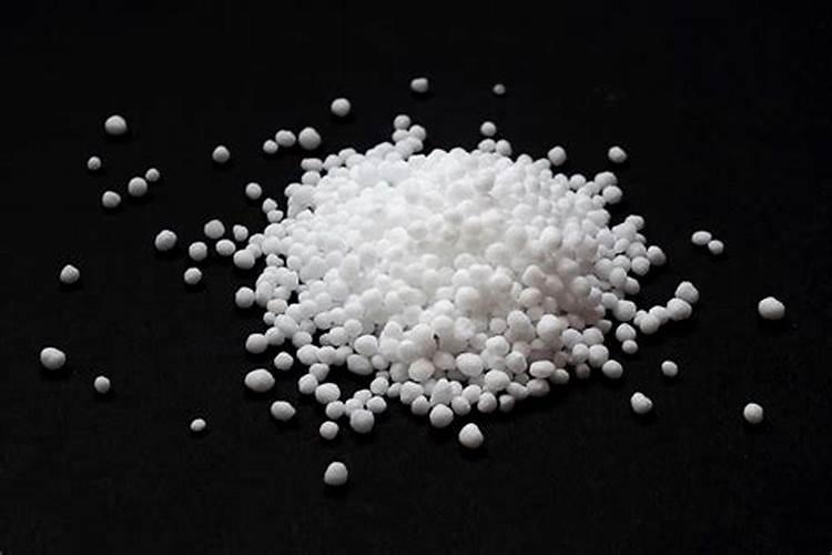 什么是定根水怎样浇好定根水