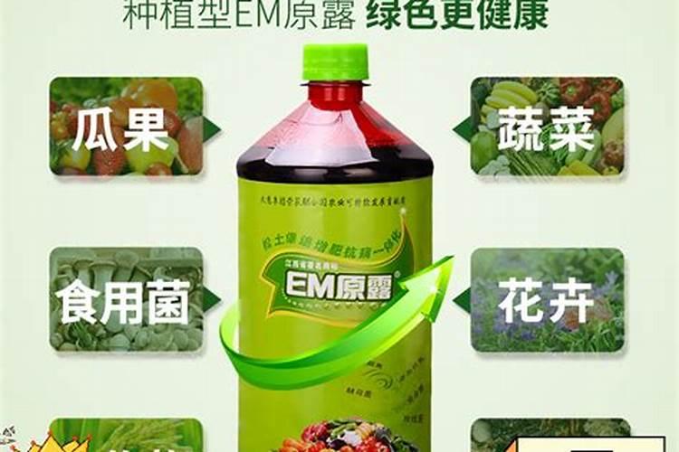 小麦在小满期间能不能使用叶面肥