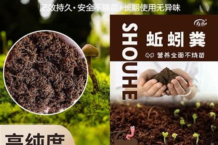 种菜用什么肥料对人体无害