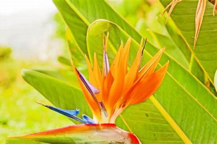 农资网购平台有哪些