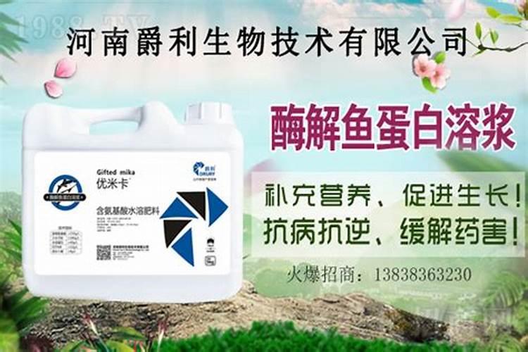 多肉叶子掉光了怎么救 应该采取哪些措施