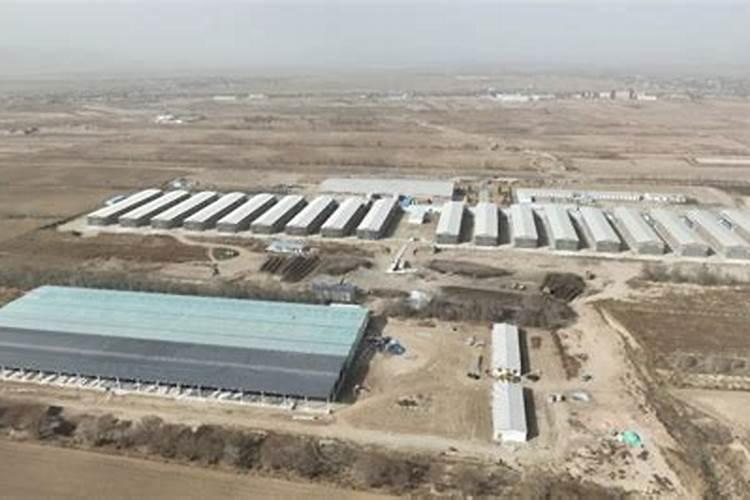 2022年有机肥价格多少钱一吨？常见的有机肥种类有哪些？