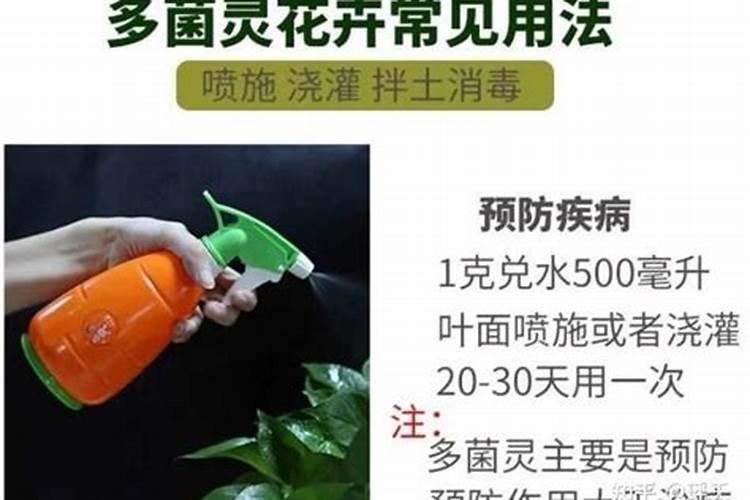 西红柿氮肥过量怎么办