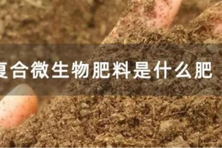 撒在庄稼里的肥料雨淋,隔夜会失去作用吗？