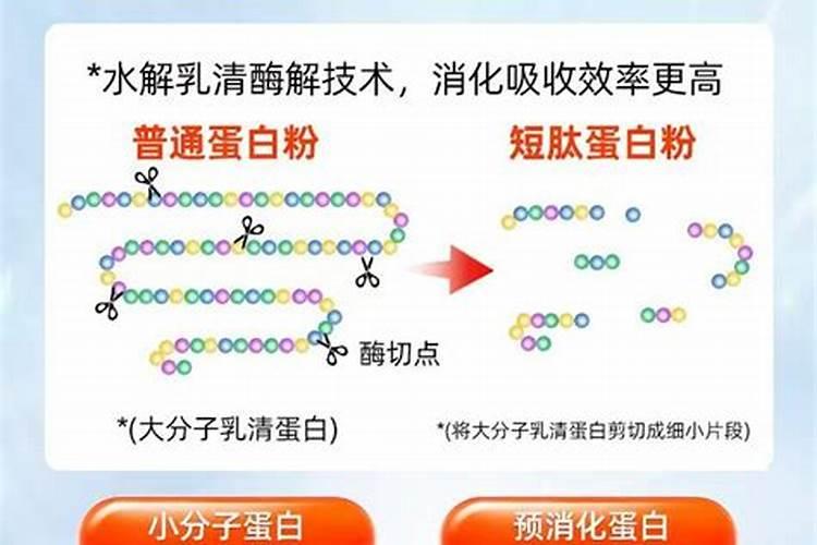 减肥人士通常会非常注意食物热量的摄入,但具体该吃多少呢