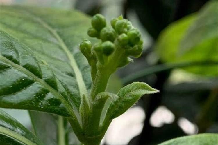 油锅炸鱼一般几分钟