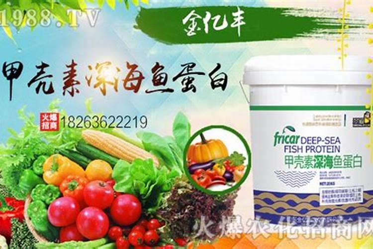 大棚柿子用哪种冲施肥比较好