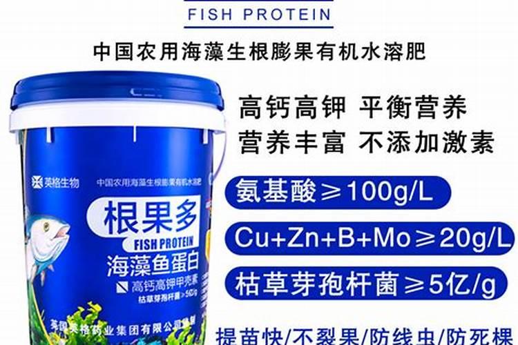 鱼蛋白和海藻精哪种好