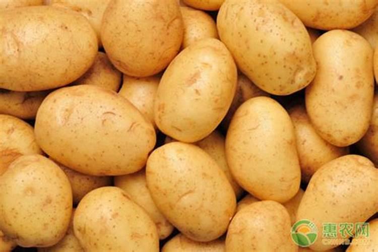 夏季如何给树木施肥和浇水