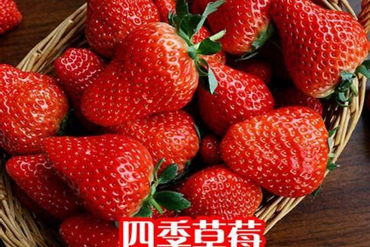 沃柑膨果期管理要点