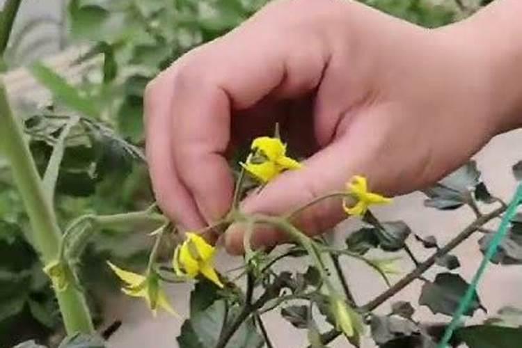 哪些蔬菜含氨基酸