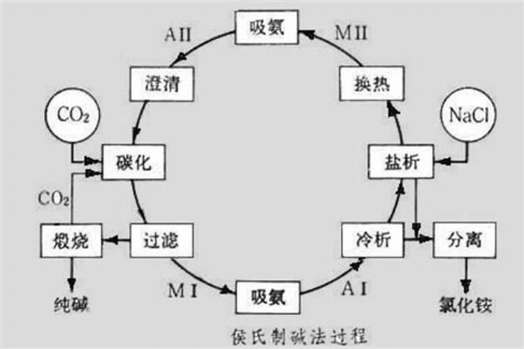 魔芋用什么肥料产量高 附施肥注意事项