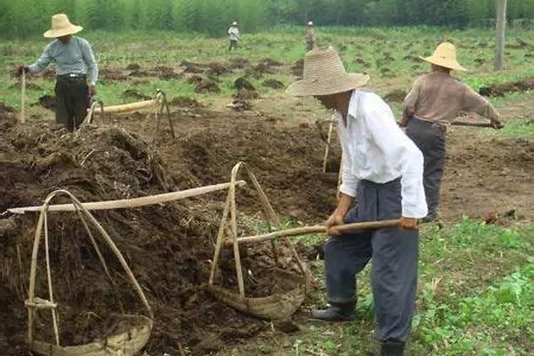 控释肥的颗粒控释肥