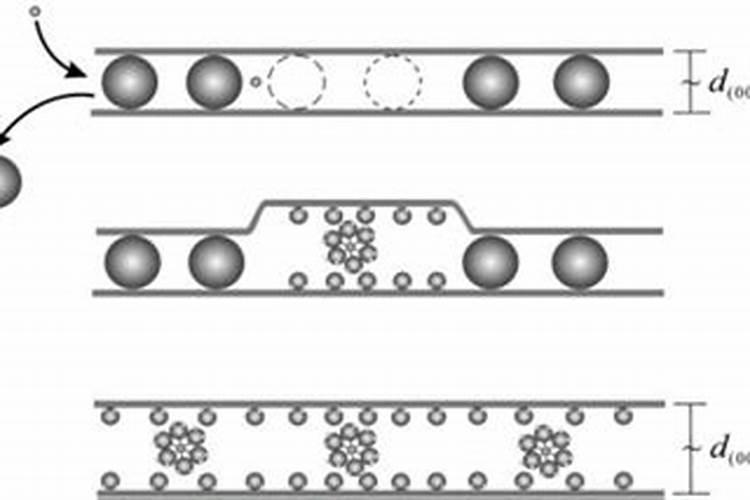 番茄什么时候打膨大剂？西红柿种植用什么肥料好？