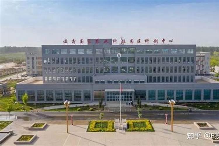 花生用什么叶面肥好