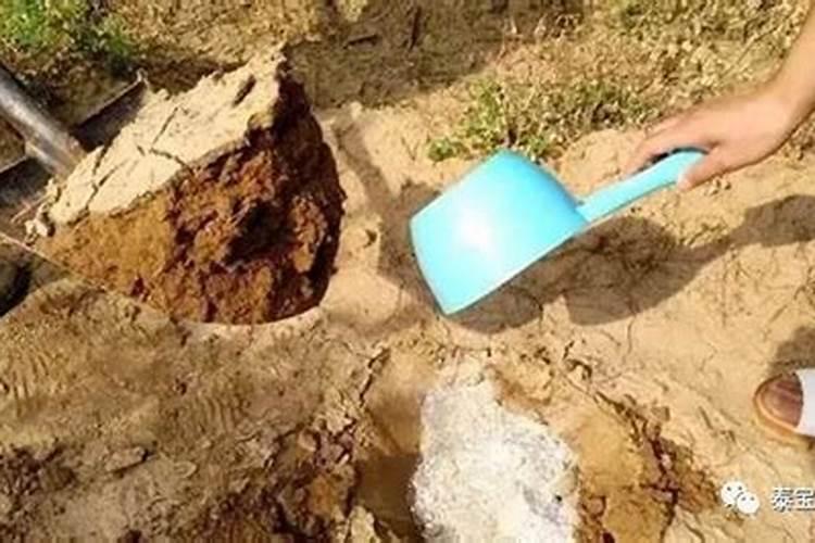 果树最佳施肥时间表？