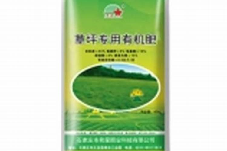 青菜用什么肥料最好？