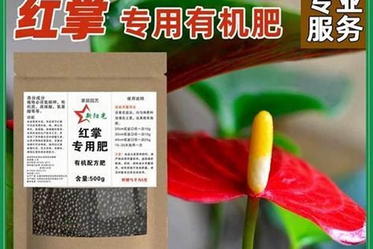 罗汉松能用复合肥吗 需要注意什么