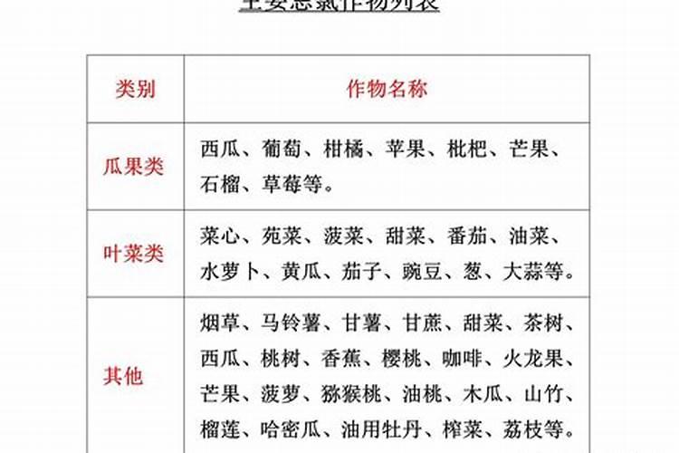 颗粒硼肥什么牌子的好