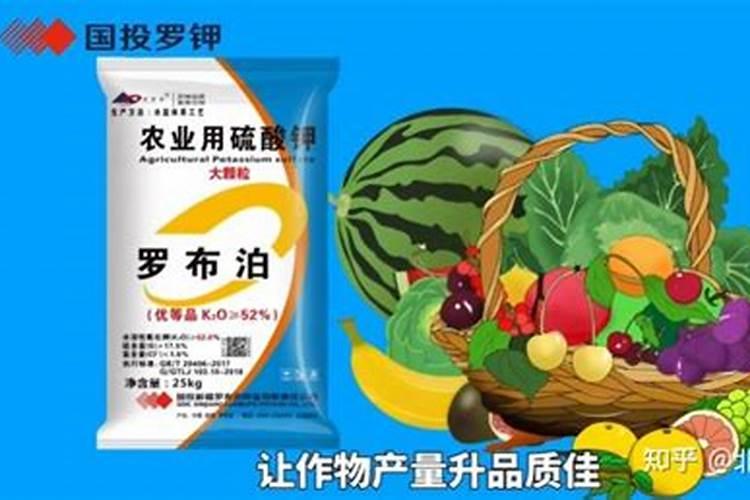 荔枝冬季可以施钾肥吗