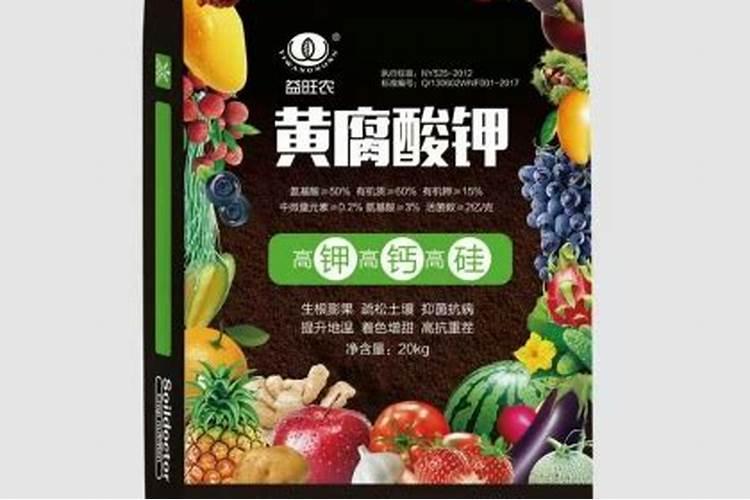 硼肥在柑橘树上的最佳使用时期