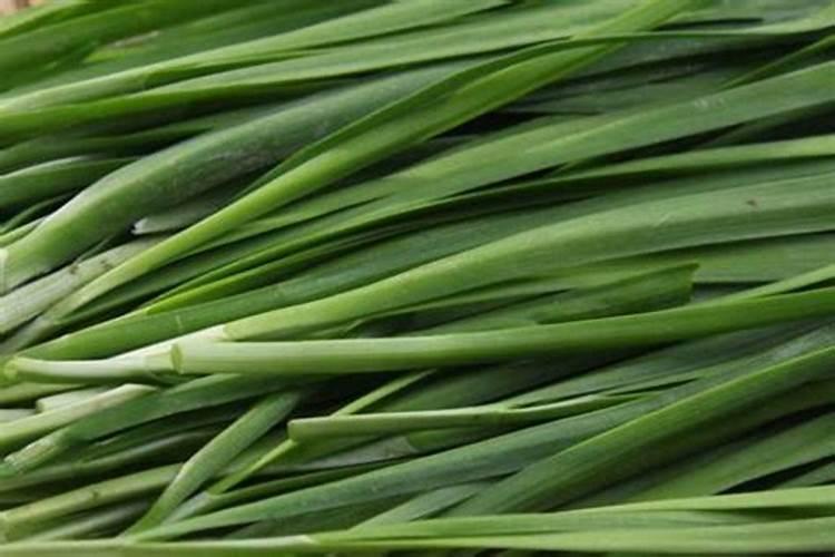 绿眉豆的种植方法和时间什么季节最适合种植？