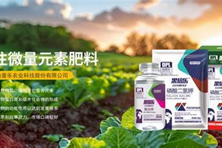 养水草加什么肥料