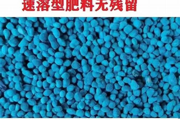 米兰花小苗怎么浇水