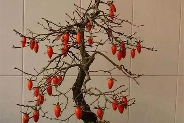 化肥氮、磷、钾的作用是什么？