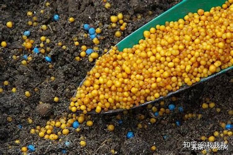 氮磷钾是什么肥料,氮磷钾肥料的介绍