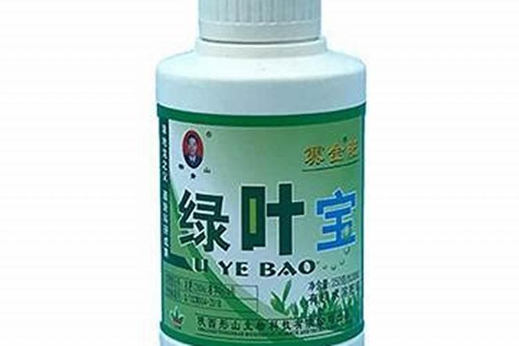 绣球花什么季节种植最好？