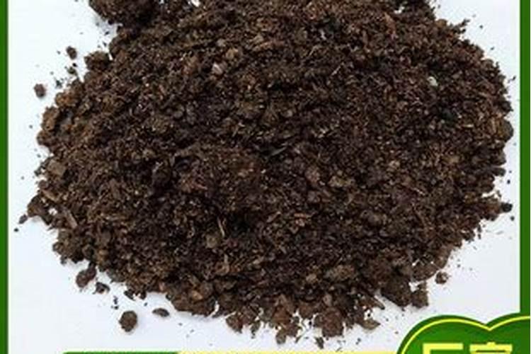 蘑菇怎么种植方法