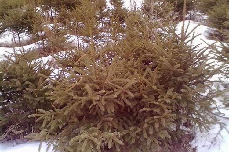 哪些化学元素对我们很危险？