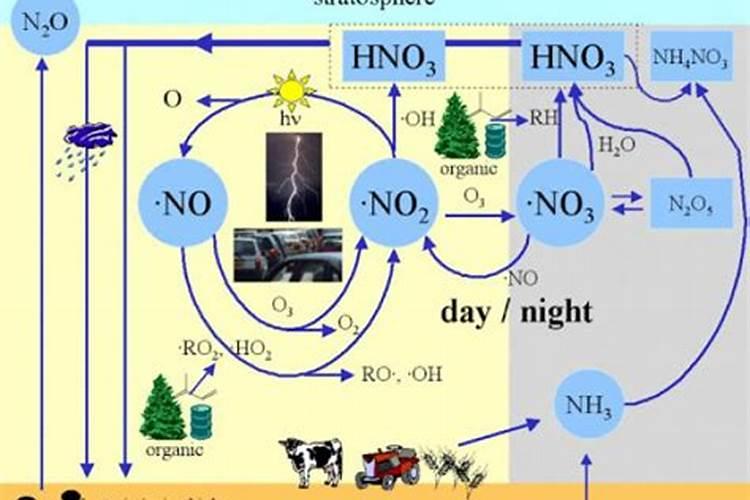 硼肥对植物的作用