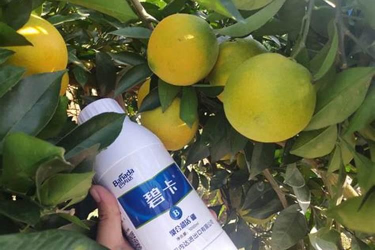 地瓜种植时间方法及管理