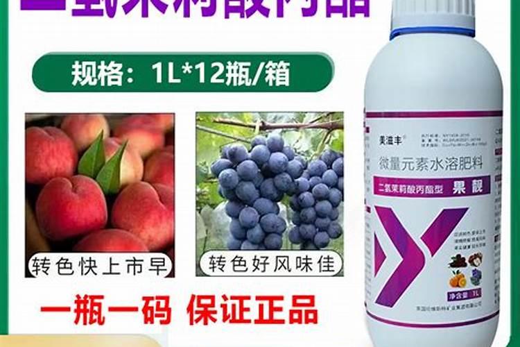 恶草酸在芹菜幼苗期能用吗？