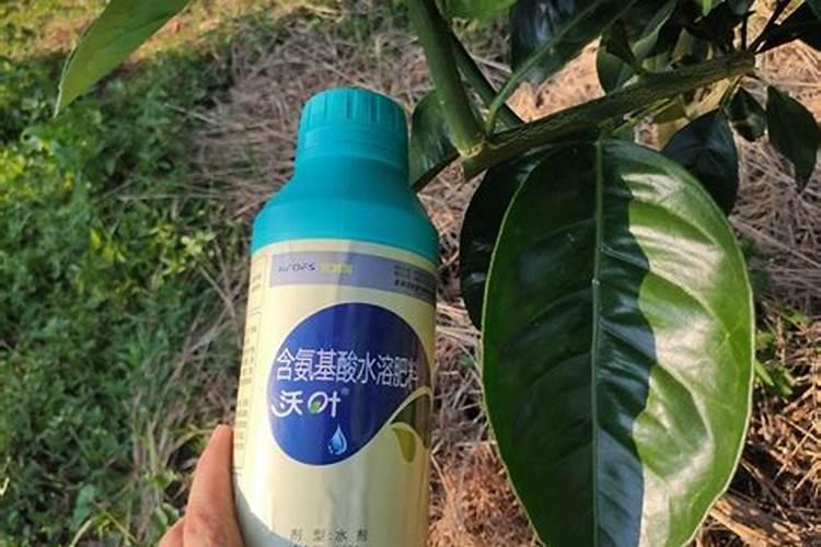 水溶肥施用后多久见效 水溶肥施完三小时后下雨有效吗