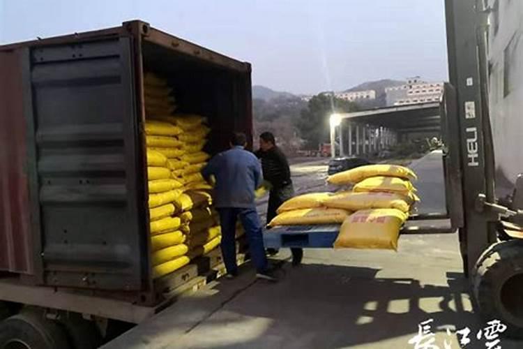 农户种植的苦瓜,施什么肥能提高产量和品质？