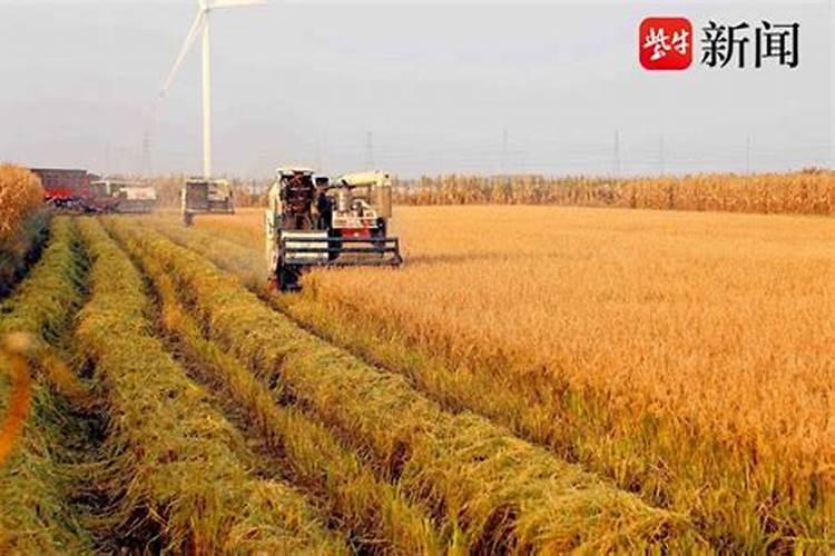 尿素和硝酸铵钙哪个肥效期长