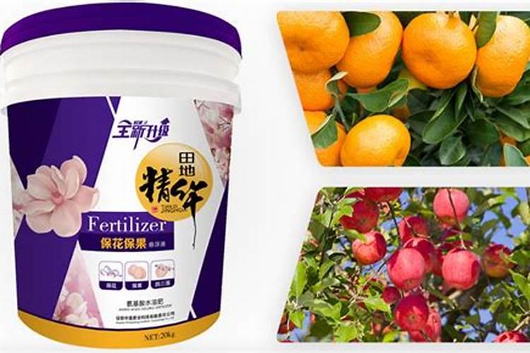 兰花喷什么叶面肥最好(兰花叶面肥喷施注意事项)