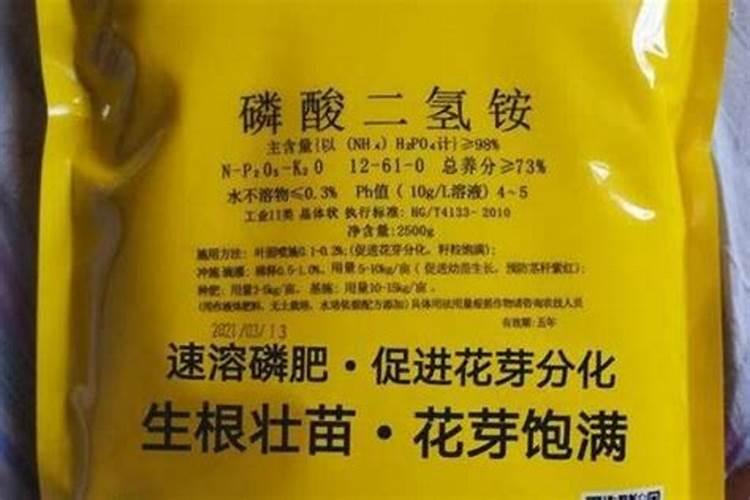 杨树追什么肥好？