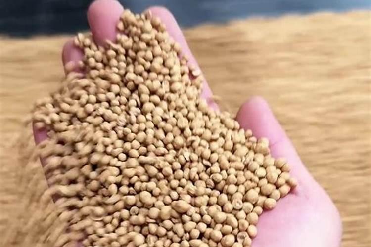 豆角能喷芸苔素内酯吗